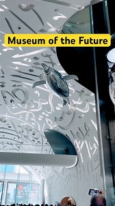 Dolphin Flying In Future Museum Of Dubai 🇦🇪 | Dubai Walker