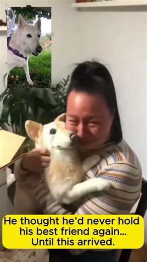 Real vs Replica: 1:1 Handmade Custom Pet Memorials (Cats & Dogs) | SoulNest