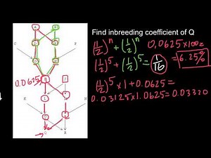 How to Solve Advanced Inbreeding Problems