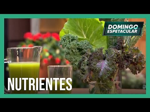 Descubra quais são os mitos e verdades da couve