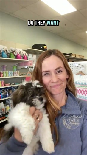 Which Toy Will They Choose? 🧸 Plush vs. Rope! 🐶 | Dream Tails Henderson ✨