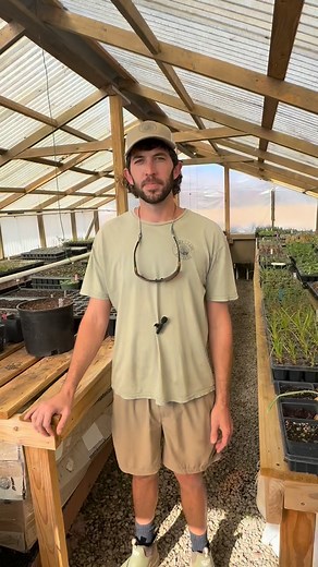 105 reactions · 7 comments | Behind the scenes with Andrew as we prepare for next spring! Do you have a big spring project planned? Contact us now for more information about our Contract Grow options. #nativeplants #plantnativeplants #propagation #campcreeknativeplants #nativeplantnursery | Camp Creek Native Plants | Facebook
