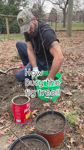 47K views · 547 reactions | There are several different ways to...