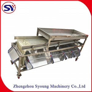 [Hot Item] Walnut Sizing Sorting Machine Size Grading Machine