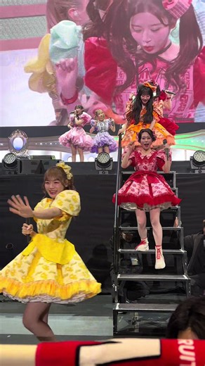 うちわとアイドルの可愛さを楽しむ🐱