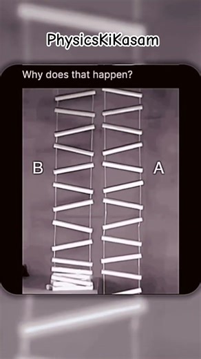 Which Ladder Falls First? 🤯 Physics Says It’s NOT What You Think #shorts #shortsfeed #physics