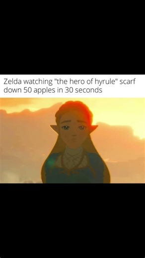 Zelda Memes #65 #zelda #trending #totk #funnymemes #memes
