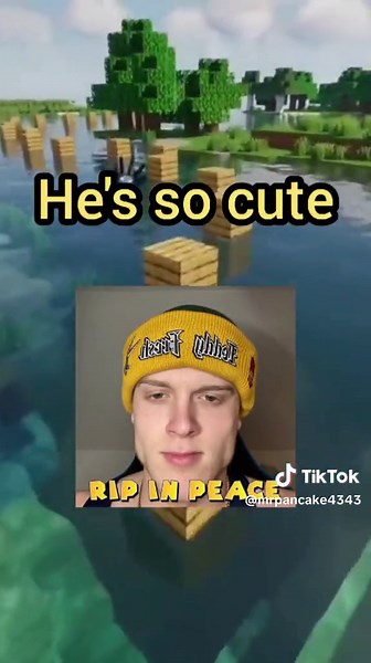 #minecraft #mrpancake #fyp