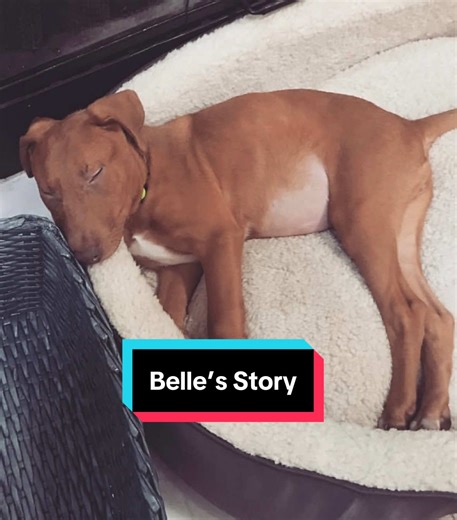 Belle shares her story and catches a fly. Well done, Belle! | belle's hair falling in face