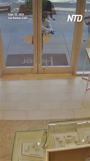 160K views · 718 reactions | Dramatic video footage shows over 20 suspects ransacking a jewelry store in a $1 million smash-and-grab heist in San Ramon, Calif., on Sept. 22. | NTD Television | Facebook