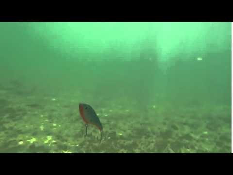 STRIKE PRO - BUSTER JERK