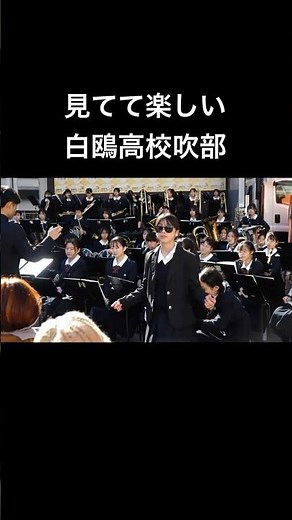 可愛すぎる白鷗高校・附属中学校吹奏楽部その2 in おかちまちパンダ広場シタマチ文化祭（2024.11.23）