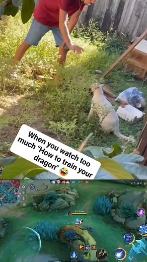 1.5M views · 20K reactions | When you watch too much How to train your dragon藍藍 #reelsvideoシ #reelsfypシ #followersreels #MobileLegendsBangBang #funnyvideos | Jovanie J Autida | Facebook