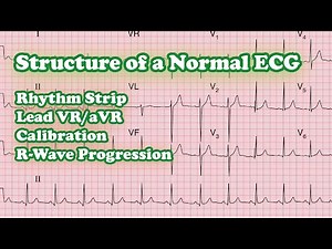 Structure of a Normal ECG | Rhythm Strip | Calibration | Normal Vs Poor R Wave Progression