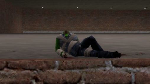 【GMOD】这是我玩过濒死效果最真实的模组