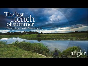 The last tench of summer: float fishing on the Sussex Levels