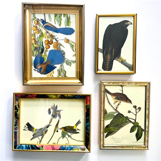 Vintage Bird Art Prints in Gold Tone Frames : Audubon Book Illustration - Cottage Grandmillenial - Etsy