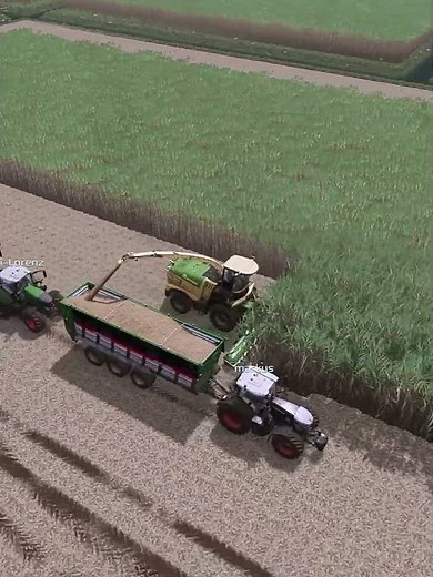 Framing simulator Gameplay , Multiplayer , Zusammen spass