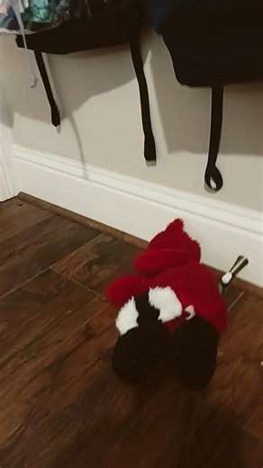 fnaf jumpscares but with foxy