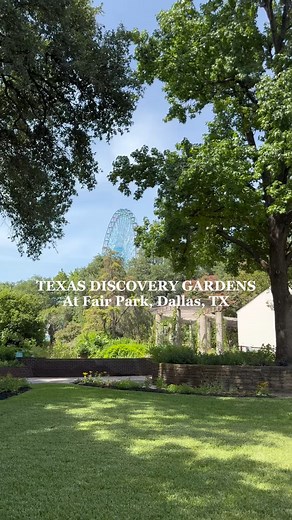 🦋💐 From exotic butterflies to native Texas blooms, Texas Discovery Gardens at Fair Park is a one-of-a-kind destination in the heart of Dallas. With 7.5 acres of gardens, interactive exhibits, camps for kids, and even event rentals, there’s something here for every age and interest. Plan your visit and experience the beauty by visiting TXDG.org #TexasDiscoveryGardens #DallasDestinations #FamilyFriendlyDallas #FairParkDallas #DallasWithKids #ButterflyHouse #DallasEvents #ExploreDallas | Visit Da