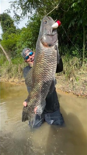 ESSE EU LITERALMENTE PEGUEI!🔥#tbt #pescaria #johnnyhoffmannoficial