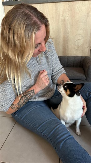 Anne-So on Instagram: "✨ KARCHER ✨ #collaborationcommerciale #produitoffert par @karcher_france 🐾 Avoir des animaux c’est beaucoup d’amour à donner et à recevoir mais c’est aussi beaucoup de poils et de la saleté sous leurs pattounes ! 🛋 Le détacheur SE 2 Spot Care est efficace pour combattre les taches sur toutes les surfaces textiles. Grâce à sa technologie d'injection/extraction , il nettoie jusqu'au cœur des fibres et désincruste les saletés grâce à sa brosse spéciale. Équipé d'un moteur p