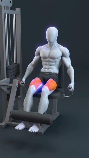 ✅ Perfect Your Leg Extension Form — Here’s How