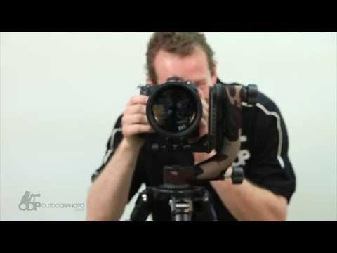 Benro Gimbal Head GH2