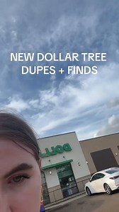 really curious ab the native dupe scent 👀 do yall want me to try it? #dollartree #dollartreedupe #dollartreefinds #shopwithme #shoppingvlog dollar tree shopping finds #queentayshops | Queen Tay