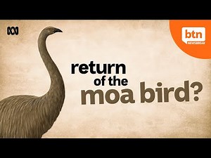 Bringing The Moa Bird Back From Extinction?