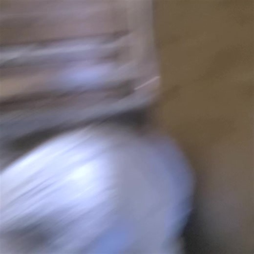 Borus and Banjo say good morning! | Polly the Performing Princess Pig