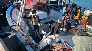 80K views · 2.7K reactions | M'diq Food Tour  Travel Morocco | Bohemian Kitchen | Facebook