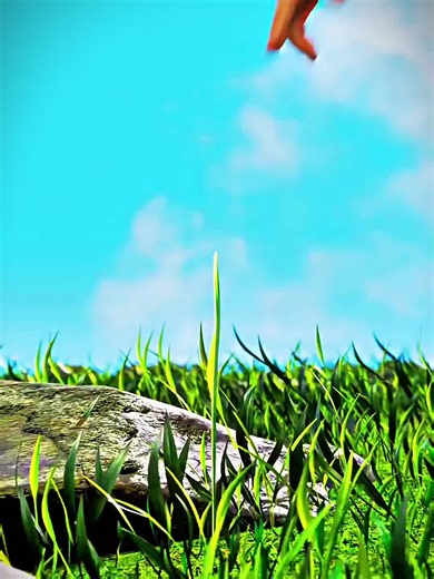 Comment siffler avec une lame d'herbe 🤔#3danimation #NatureFact #LearnOnTiktok #FYP #FORYOU