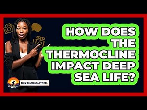 How Does The Thermocline Impact Deep Sea Life? - The Documentary Reel