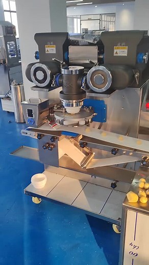 Integrated Encrusting Machine for Bakery Products
