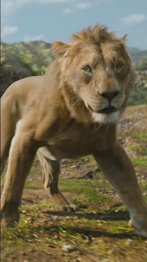 Disney’s Mufasa: The Lion King | Outcast | In Cinemas December 18