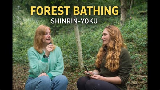 What Is Forest Bathing? Science, Stress Restoration | Unsustainable Magazine
