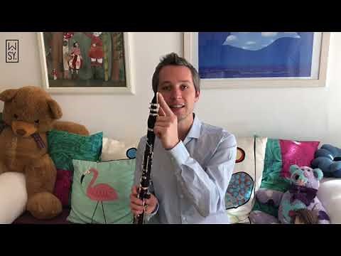 Wiener Klang VII: Wiener Klarinette