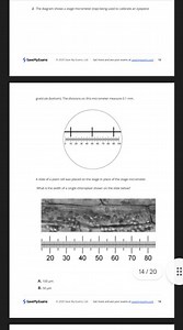 The diagram shows a stage micrometer (top) being used to calibr... | Filo