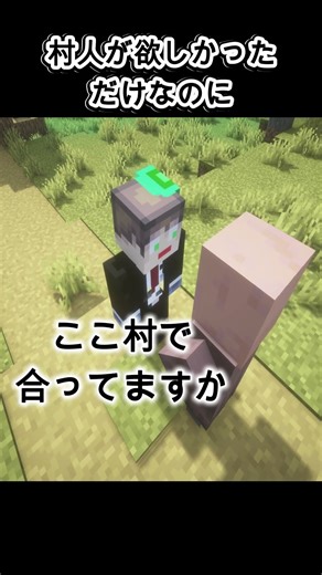 村人が欲しかっただけなのに【マイクラ】 I Just Wanted a Villager…【Minecraft】#音源お借りしました