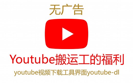 【完全免费】medlexo 界面使用 youtube-dl 或 yt-dlp 小白学一次就会