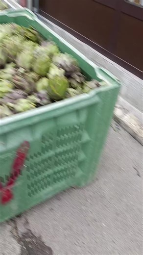 La Carciofa: Prezzi e Curiosità del Mercato