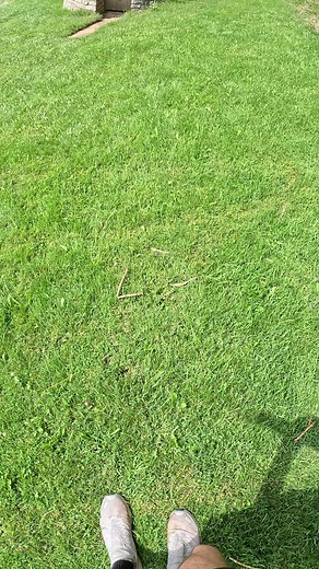 Discover the enchanting Millenium Folly on the Cotswold Way! 🌿 Hidden amidst the rolling hills and quaint villages of the Cotswolds lies this whimsical gem, a tower created for owls and swallows to nest in. 🦉 Book a self-guided hiking tour today and see this along with lots of other quirky landmarks and beautiful scenery along the way. Panoramic Views Await! 🌄 🌟 Why Choose a Self-Guided Hiking Tour? 🌟 - Freedom: Set your own pace and immerse yourself in the English countryside. 👣 - Hidden 