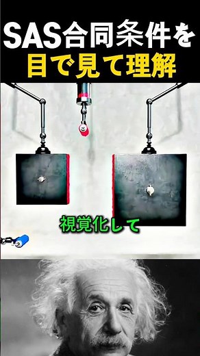 SAS合同条件を目で見て理解！