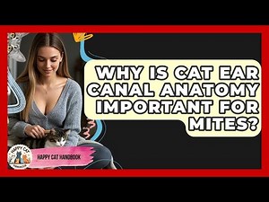 Why Is Cat Ear Canal Anatomy Important For Mites? - Happy Cat Handbook