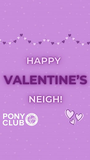 2.8K views · 17 reactions | Happy Valentine's Day from The Pony Club! Today, we're celebrating the horses and ponies that fill our hearts with joy every day. Here's to the bond we share and the love that grows stronger each day. ❤️ #valentinesday #valentines #equine #horses #ponyclub | The Pony Club | Facebook