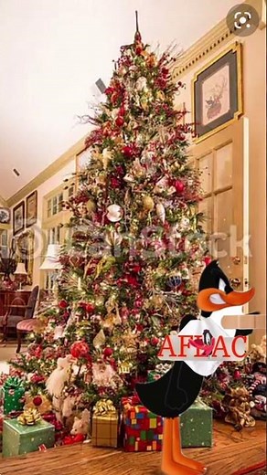 Aflac Daffy Duck and Santa commercial