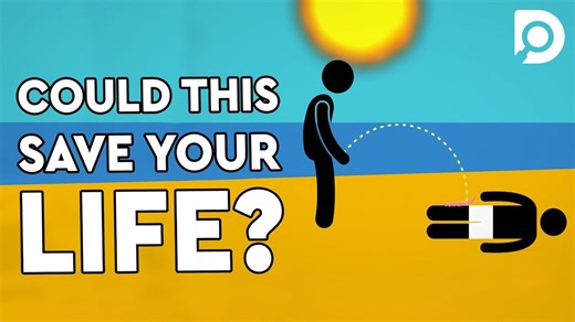 Learn to treat a jellyfish sting using effective science-based steps