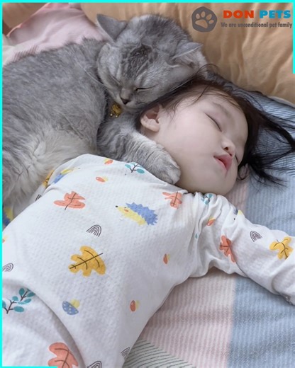 Sweet friendship between cat and baby | Don Pets