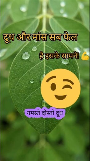 दूध और मांस सब फेल है इसके सामने! 💪